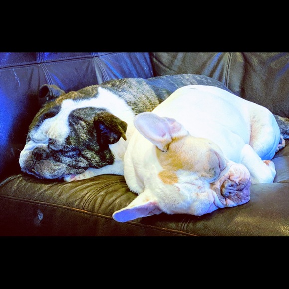 👋 2+ Bundle & Save! Make an offer! - Picture 1 of 2